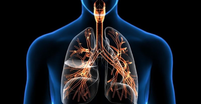 La respiración es vida: Oxigena mejor tus días. 1 respiracion 2 e1550455047561